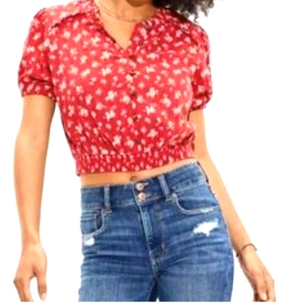American Eagle Outfitters Red Floral Crop Top